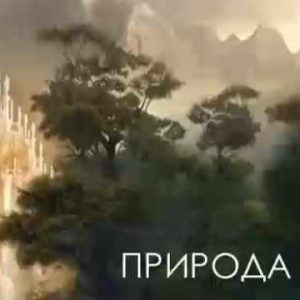 Природа вещей (Наташа Бартон)