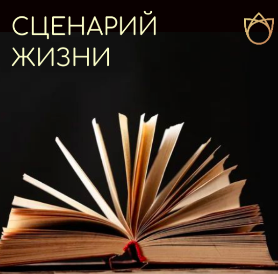 Сценарий жизни (Алла Далит)