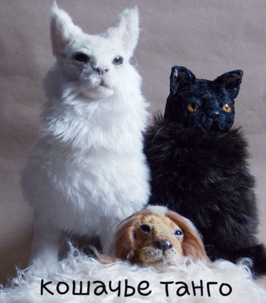 Кошачье танго (Анна Степанова)