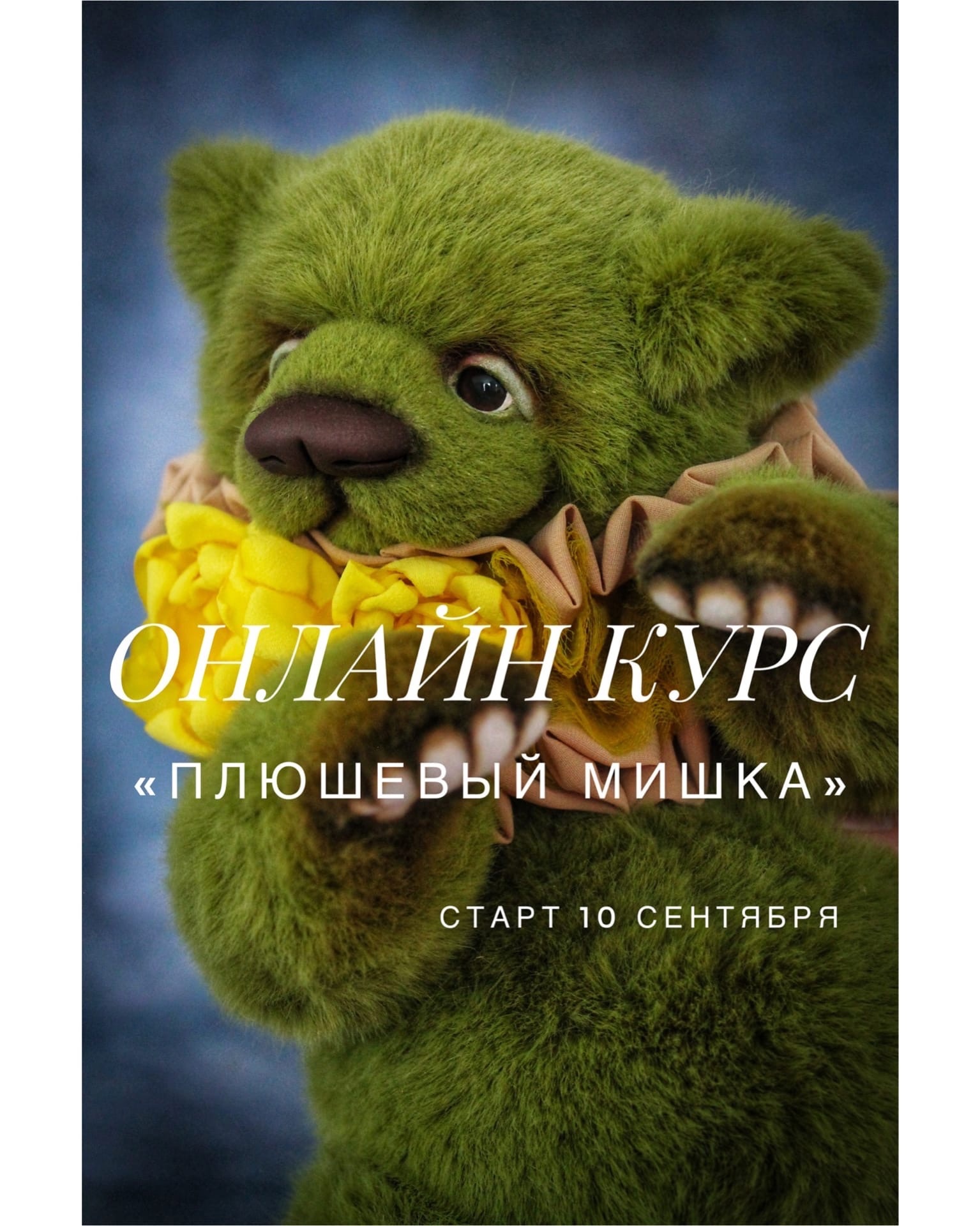 Плюшевый мишка (Анна Ковалева)