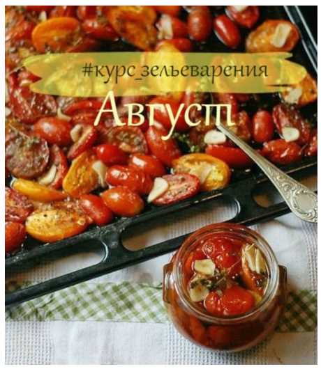 Курс зельеварения Август (IrinaTaro)